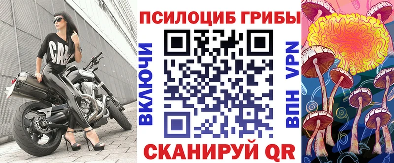 Галлюциногенные грибы ЛСД блэк спрут как зайти Великий Устюг дарнет шоп